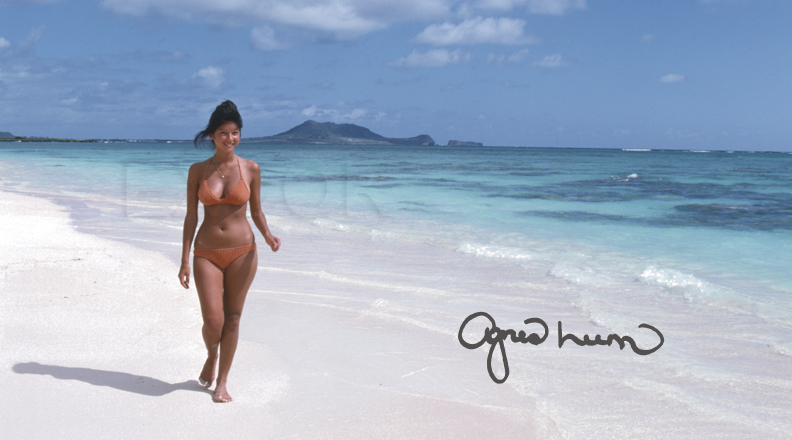 アグネスラムLicensedbyexcorincandsoonincjpg