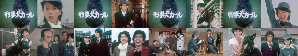 刑事犬カールあらすじ