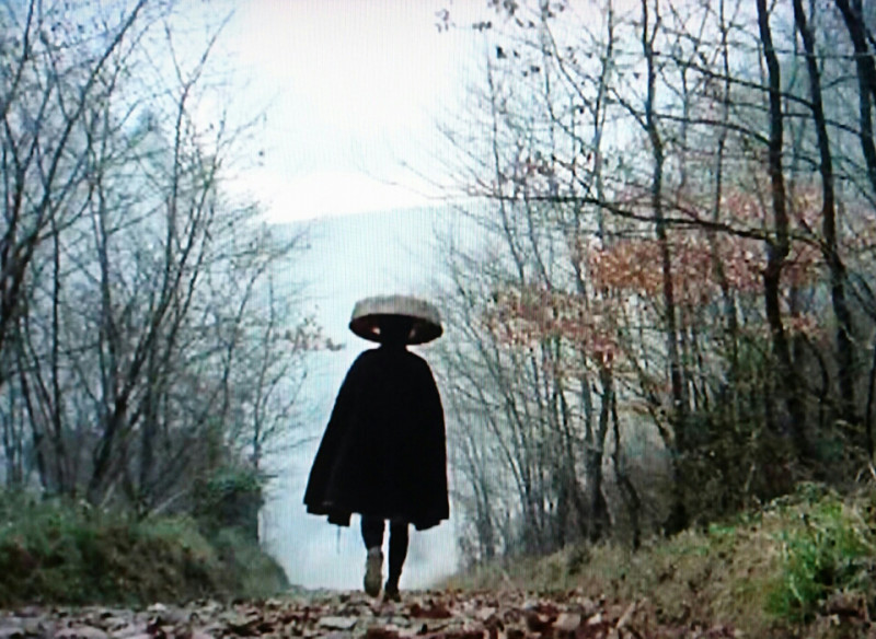 笹沢佐保木枯し紋次郎