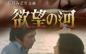 Amazon.co.jp: レモンの天使 吉沢京子DVD-BOX : パソコン・周辺機器